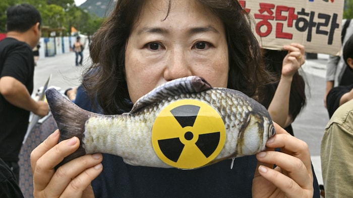 Besorgter Protest gegen verseuchten Fisch auch in Südkorea