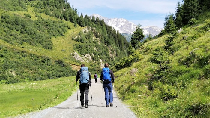 Auf einem Fahrweg wandern wir durch das Moostal.