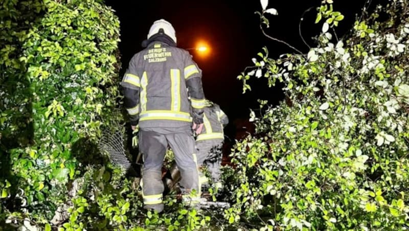 Viele Unwettereinsätze im Flachgau und in der Stadt Salzburg (Bild: Markus Tschepp)