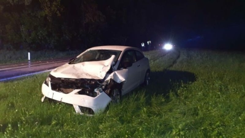 Ein Auto wurde von einem Baum getroffen. (Bild: Feuerwehr Seekirchen)