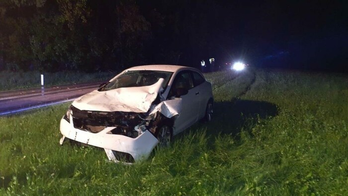 Ein Auto wurde von einem Baum getroffen.