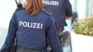 Die angeklagte Beamtin war im Objektschutz tätig – Registerabfragen waren da eigentlich nicht auf der Tagesordnung. (Bild: Wolfgang Spitzbart .)
