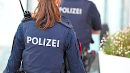 Die angeklagte Beamtin war im Objektschutz tätig – Registerabfragen waren da eigentlich nicht auf der Tagesordnung. (Bild: Wolfgang Spitzbart .)