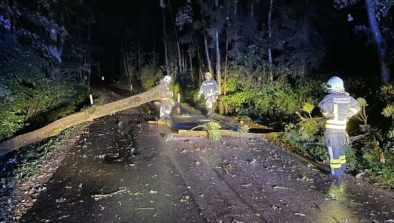 Mehrere umgestürzte Bäume sorgten in der Nacht auf Freitag in Niederösterreich für stundenlange Einsätze. (Bild: APA/BFKDO AMSTETTEN)