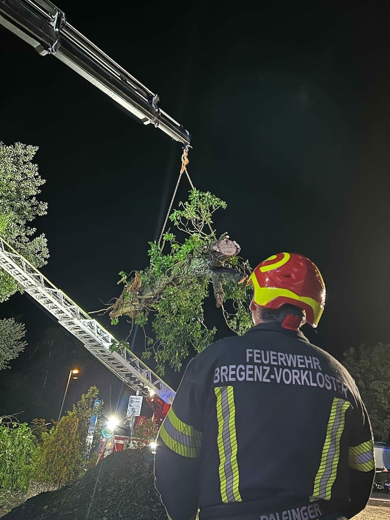 (Bild: Feuerwehr Bregenz)