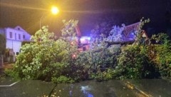 In Bregenz wurden ganze Straßen mit umgestürzten Bäumen verlegt. (Bild: Feuerwehr Bregenz)