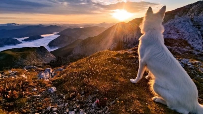 Kurz nach sechs Uhr morgens am Hochschwab - „Freya“ bei der Sonnenaufgangswanderung. (Bild: zVg.)