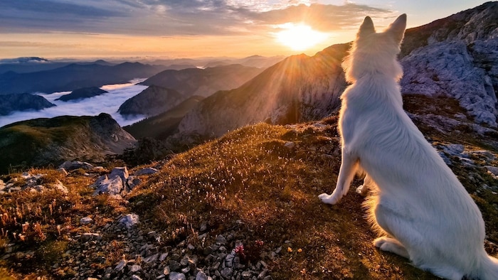 Kurz nach sechs Uhr morgens am Hochschwab - „Freya“ bei der Sonnenaufgangswanderung.