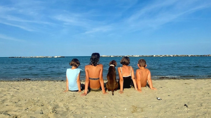 Ein besonders gelungenes Foto im harmonischen Familiensommerurlaub - gefällt uns!