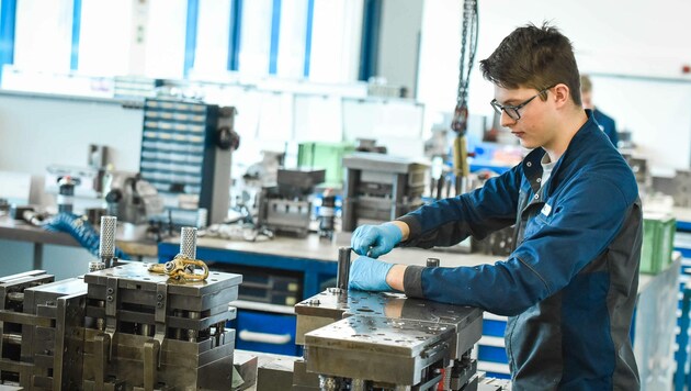 Oberösterreich ist das Lehrlingsbundesland Nummer eins. (Bild: Markus Wenzel)