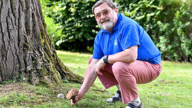 Otto Stoik weiß alles über Schwammerl. (Bild: Dostal Harald)