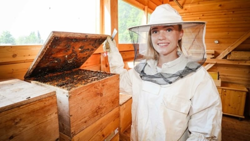 Eva Schneider hat in St. Pantaleon 14 Bienenstöcke, die ihr gehören. Sie überlegt jetzt aber, Metzgerin zu werden. (Bild: Scharinger Daniel)