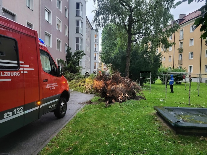 Mitten in einer Siedlung in Lehen stürzte ein Baum um.