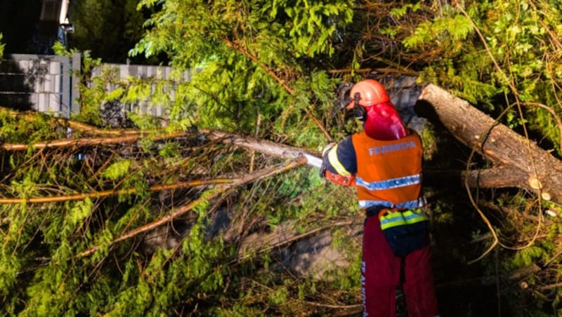 Auch in Alkoven musste die Feuerwehr umgestürzte Bäume beseitigen (Bild: Hermann Kollinger)