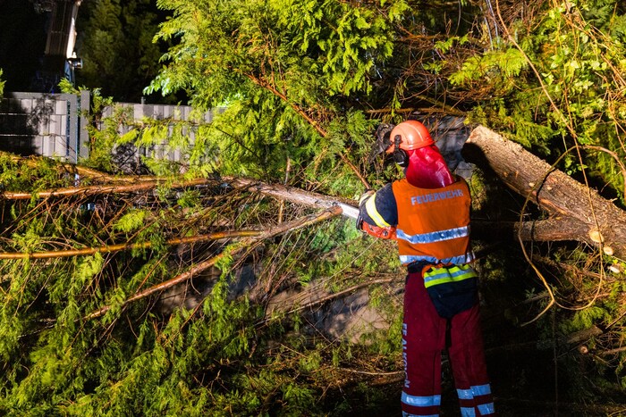 Auch in Alkoven musste die Feuerwehr umgestürzte Bäume beseitigen
