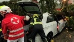 Die Feuerwehrleute waren in der Nacht auf Sonntag im Dauereinsatz. (Bild: FF Schärding)