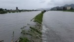 Der Rhein führt Hochwasser. (Bild: APA/JOCHEN HOFER)