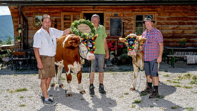 Für die „Krone“ wurden einige Kühe im Beisein von Ganaus, Sommerauer und Engel (v. li.) bereits probegeschmückt. (Bild: Imre Antal)