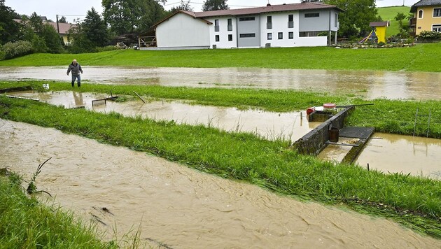 In Treubach im Bezirk Braunau wurde diese Fischzuchtanlage überflutet. (Bild: Manfred Fesl)