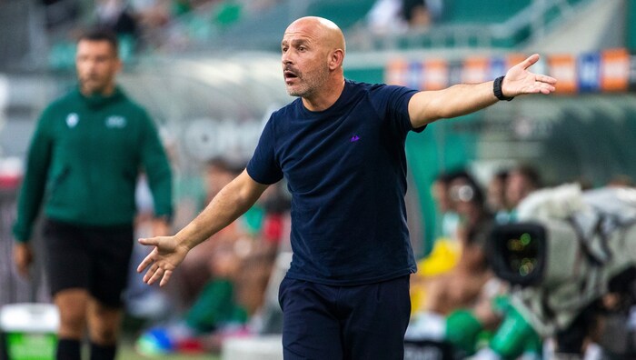 Vincenzo Italiano