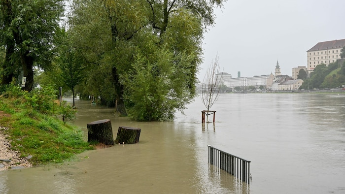 Der Donaustrand in Linz-Urfahr wurde überflutet, doch bis zur Hochwassermauer ist zum Glück noch ...
