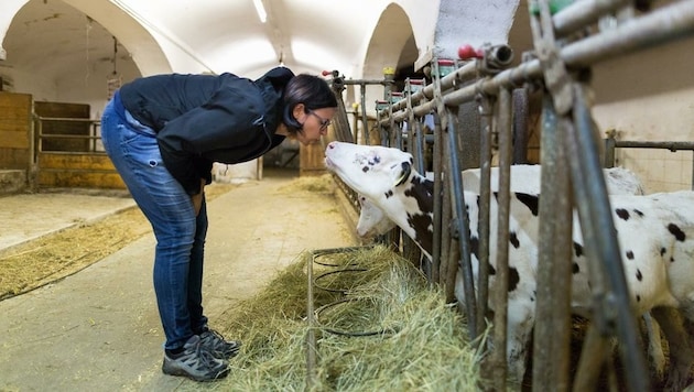 Kontrastprogramm zum Stadtleben: Beim Urlaub am Bauernhof wird die Nähe zu Tier und Natur genossen. (Bild: bauernhofurlaub.info)