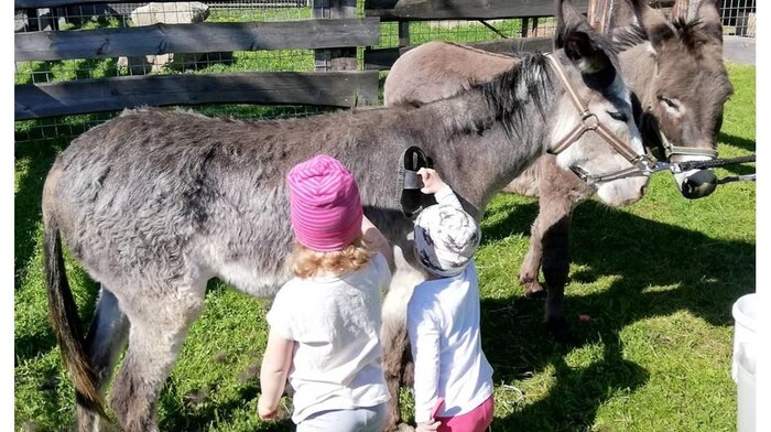 Für Kinder ist der Kontakt zu Tieren ein großes Erlebnis. 