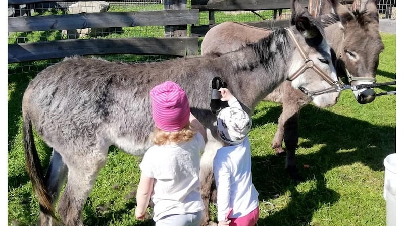 Für Kinder ist der Kontakt zu Tieren ein großes Erlebnis.  (Bild: bauernhofurlaub.info)