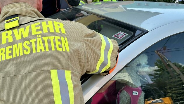 (Bild: Freiwillige Feuerwehr Unterpremstätten)