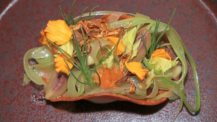 Veganer Taco