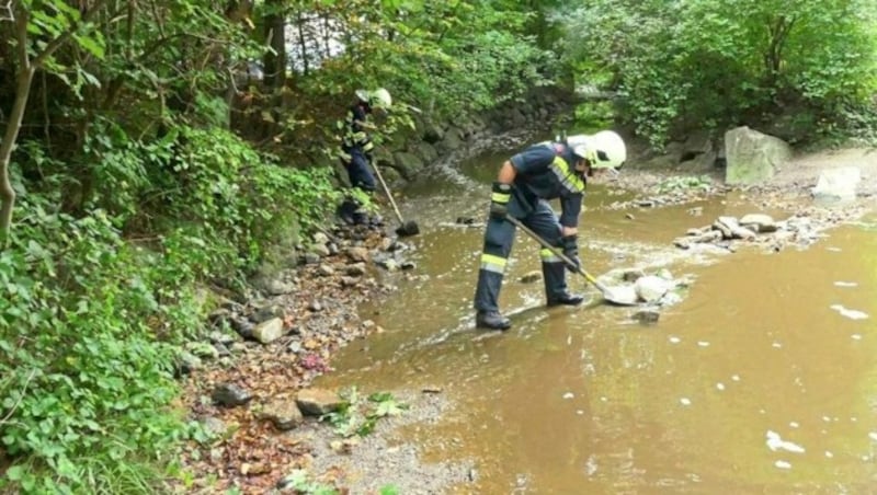 Feuerwehrleute rückten zur Schadensbegrenzung aus. (Bild: FF Anzbach)