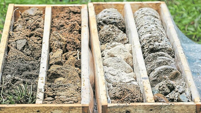 Diese Gesteinsschichten kommen am Mönchsberg vor