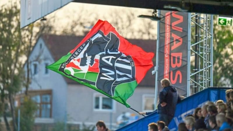 Die Wolfsfront unterstützt den WAC bei jedem Spiel! (Bild: © Harald Dostal / 2022)