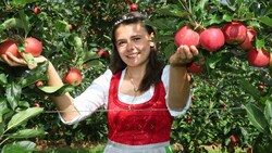 Die heurigen Äpfel schmecken top, die Ernte fällt aber um ein Viertel geringer aus. (Bild: Juergen Radspieler)