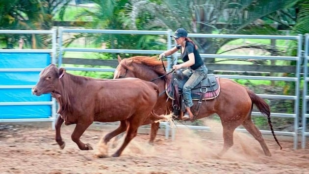 Das Ranch-Leben in Australien kann idyllisch sein, aber es bedeutet auch jeden Tag ein Abenteuer und natürlich einen Knochenjob. (Bild: Tyson Performance Horses)