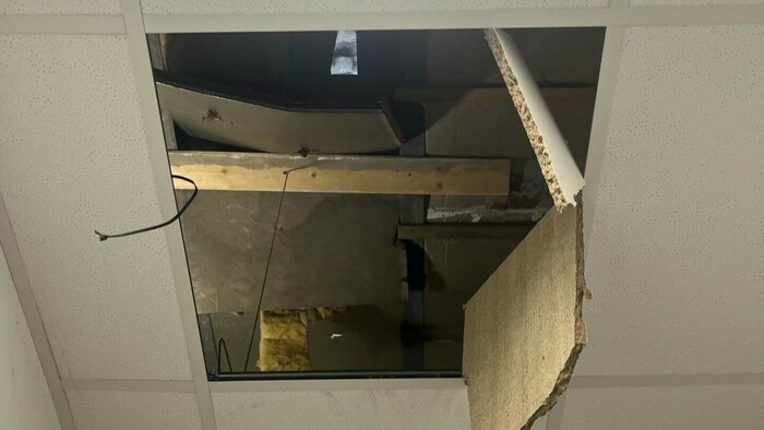 Durch dieses Loch war der Marder in den Besprechungsraum in einem Welser Bürogebäude gestürzt.