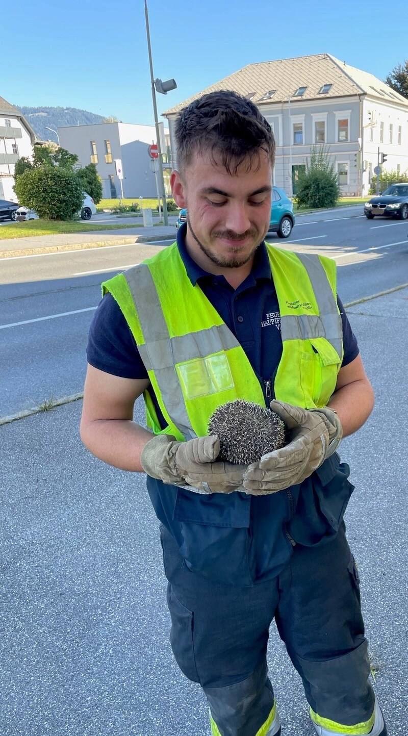 Der Igel mit einem seiner Retter. (Bild: HFW Villach)