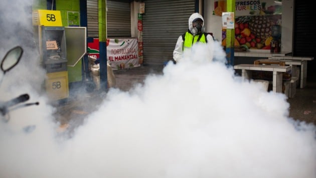 Kampf gegen das Dengue-Fieber in Guatemala (Archivbild) (Bild: Sandra Sebastian / dpa / picturedesk.com)