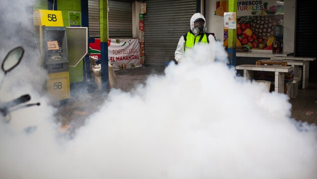 Fight against dengue fever in Guatemala (archive image) (Bild: Sandra Sebastian / dpa / picturedesk.com)