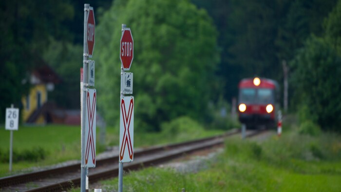 The St. Andrew's cross shows: Attention level crossing! A train may cross the road.