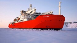 Mit einem Eisbrecher (Bild) ist ein kranker Wissenschaftler von der Forschungsstation Casey im östlichen Teil der Antarktis gerettet worden. (Bild: AAD)
