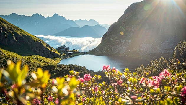 Zauberschönes Naturjuwel: Auch für kleine Wanderer gut zu meistern ist der Aufstieg zum Wildseelodersee auf 1854 Metern. (Bild: TVB PillerseeTal)