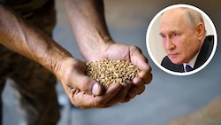 Kreml-Chef Putin kündigt den internationalen Getreidedeal auf - mit potenziell furchtbaren Konsequenzen! (Bild: picturedesk(2), Krone KREATIV)