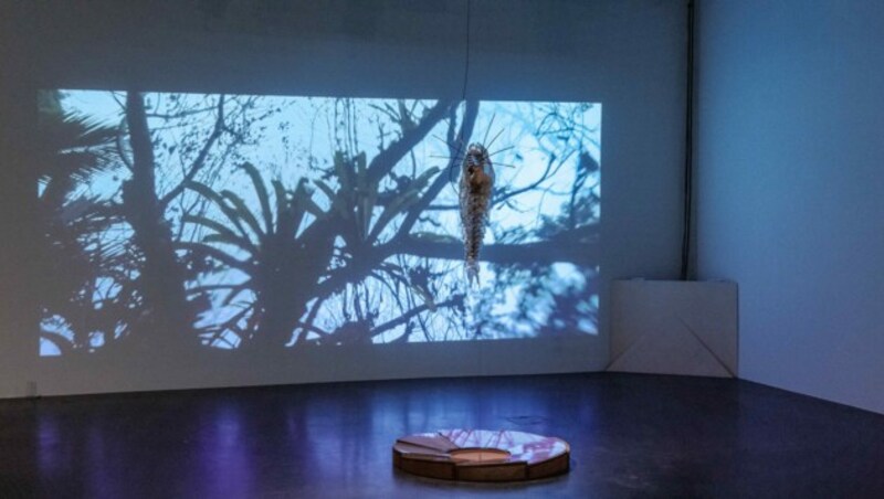 Blick in die Ausstellung (Bild: Ars Electronica/vog.photo)