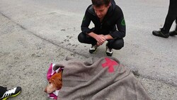 Retter kümmerten sich um den vermissten Hund (Bild: Wasserrettung Salzburg)