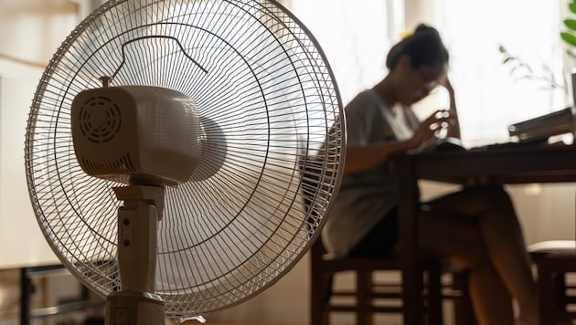 Even if you are not allowed to make any structural changes to your rented apartment, for example, there are tips on how you can survive the heat in the city better - a fan is just one of them. (Bild: jittawit.21 - stock.adobe.com)