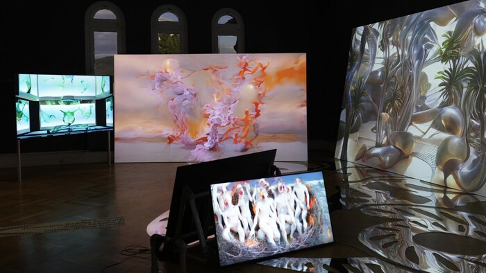 Ausstellung im Francisco Carolinum