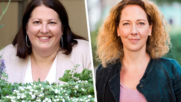 Wohnbaustadträtin Kathrin Gaál (SPÖ) und Judith Pühringer, Parteivorsitzende der Grünen (Bild: PID/Martin Votava, Grüne Wien, Krone KREATIV)