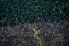 Die Abholzung im brasilianischen Amazonasgebiet ist gesunken. (Bild: AFP)