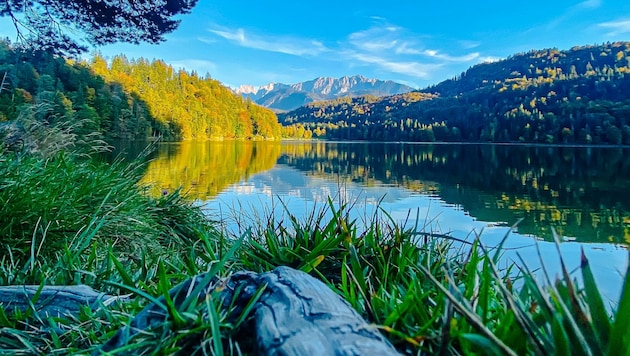 Traumhaftes Naherholungsgebiet - der Kufsteiner Hechtsee.